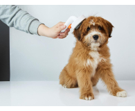 PetKit Grooming 2 szczotka dla psów i kotów - 1351312 - zdjęcie 4